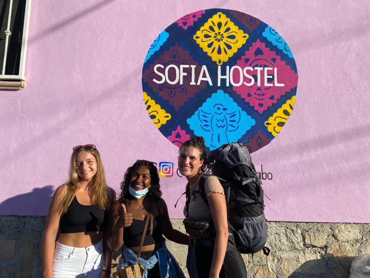 Sofia Hostel Cabo Кабо Сан Лукас Екстериор снимка